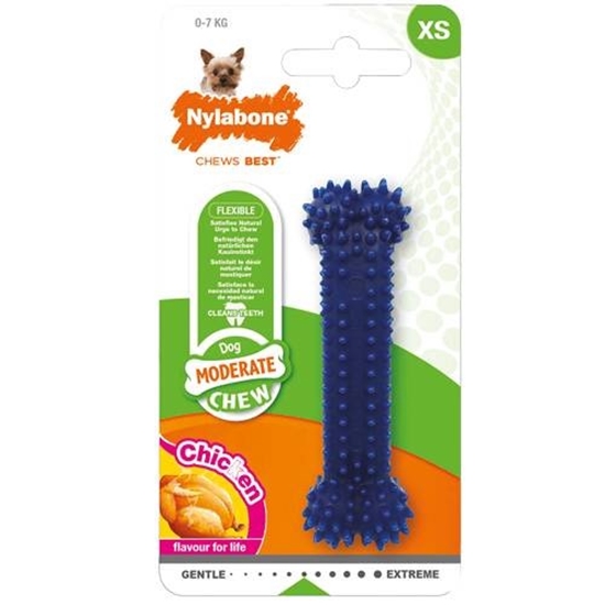 Picture of Nylabone Dental Chew Dog Bone Chicken Flavour 9.5cm